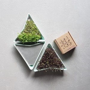 3 mint sprouters + BIOseeds