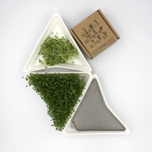 3 white sprouters + BIOseeds