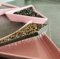 Pink sprouter