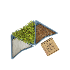 3 blue sprouters + BIOseeds (1)