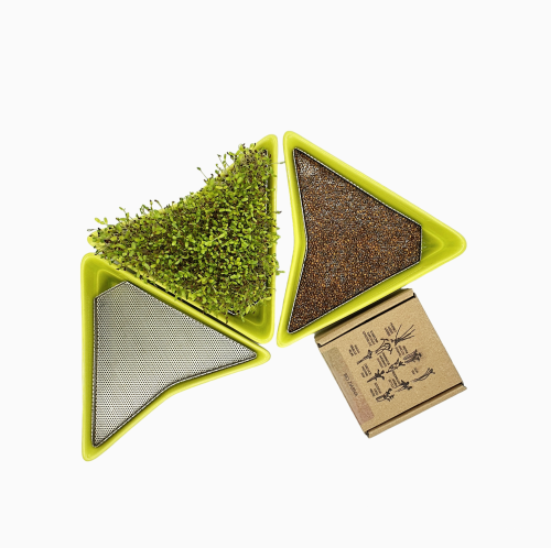 3 limon sprouters + BIOseeds 