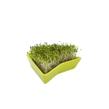 Limon sprouter 