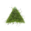 Mint sprouter