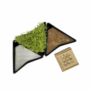 Trzy czarne kiełkowniki + BIO ZIARNA